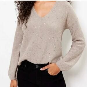 ANN TAYLOR LOFT Sequin V-Neck Sweater
